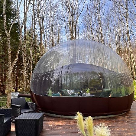 Logement Insolite "Bubble Jungle" Saint-Évarzec Buitenkant foto
