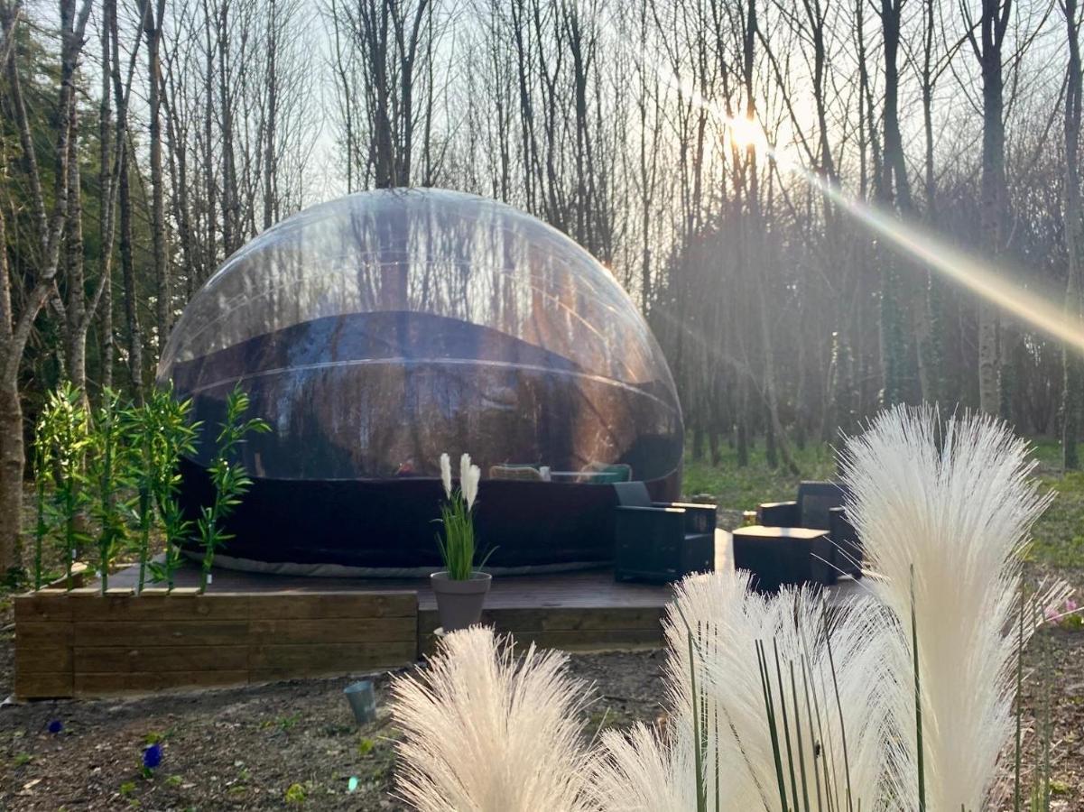 Logement Insolite "Bubble Jungle" Saint-Évarzec Buitenkant foto
