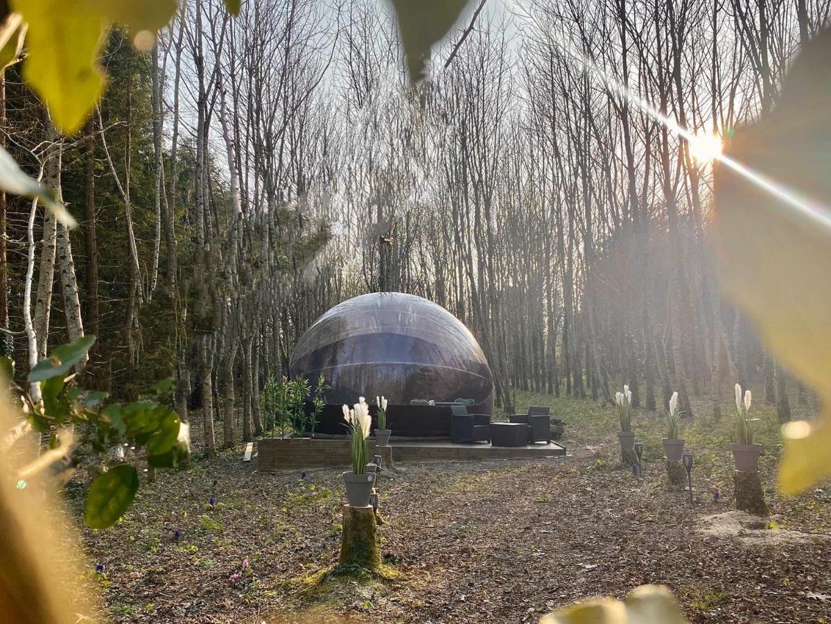 Logement Insolite "Bubble Jungle" Saint-Évarzec Buitenkant foto