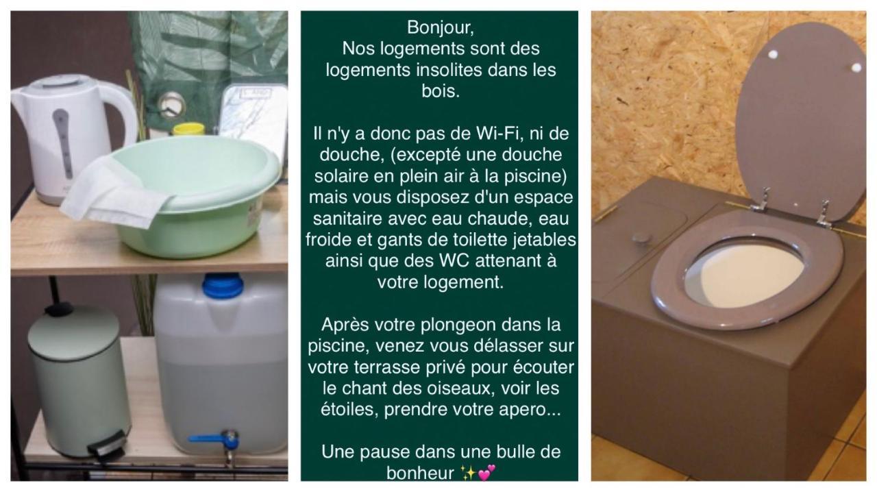 Logement Insolite "Bubble Jungle" Saint-Évarzec Buitenkant foto